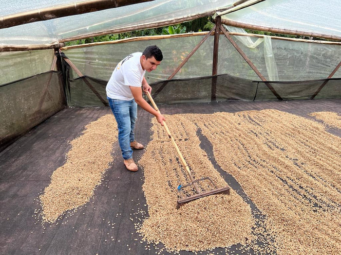 Nestor Lasso of Finca El Diviso in Huila Colombia - 1