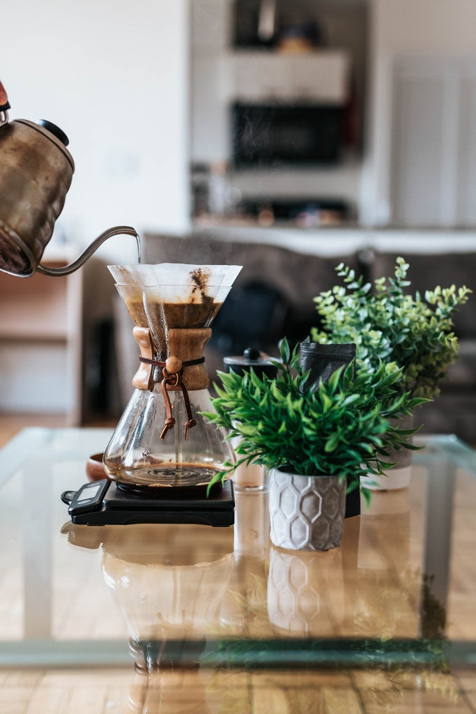 Brewing Beyond Espresso: A Guide to Alternative Coffee Brewing Methods - KOTA Coffee