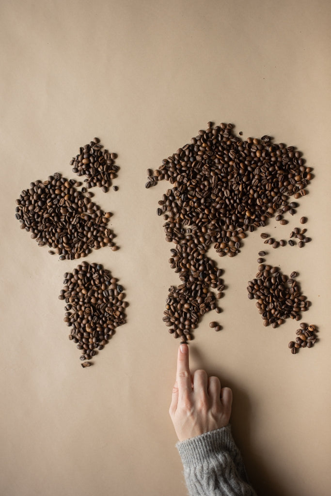 Exploring the World of Single-Origin Coffees: A Tasting Journey - KOTA Coffee