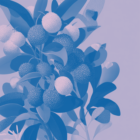 Lychee Love Anaerobic 120hrs - Colombia - KOTA Coffee