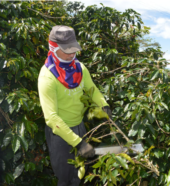 Jose Ruver Guzman, coffee farmer in Huila Colombia
