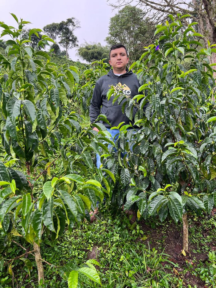 Nestor Lasso of Finca El Diviso in Huila Colombia - 2