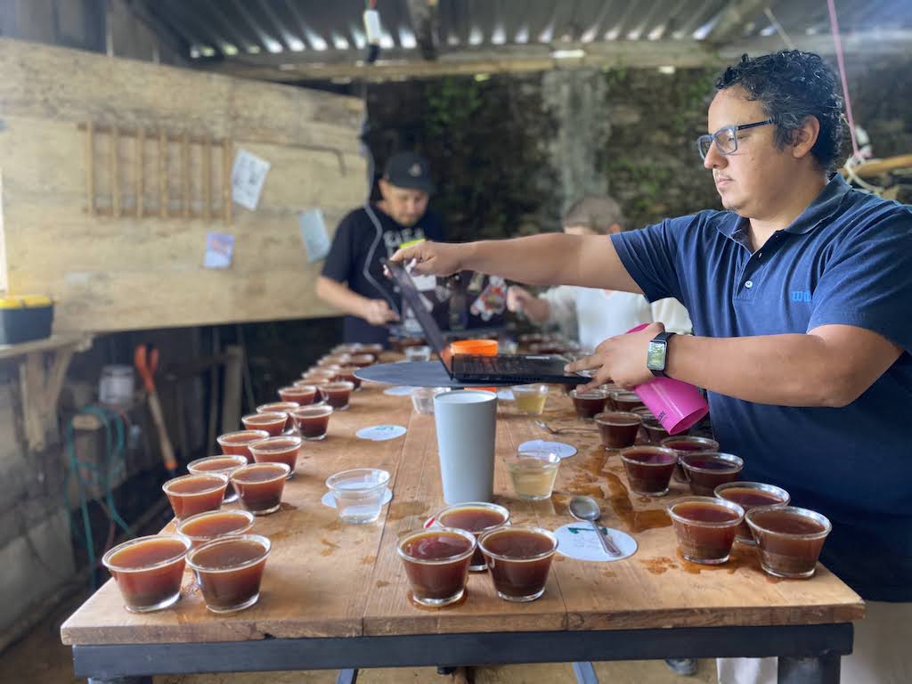 Cupping in Sierra Mazateca, Oaxaco Mexico, Raw Material