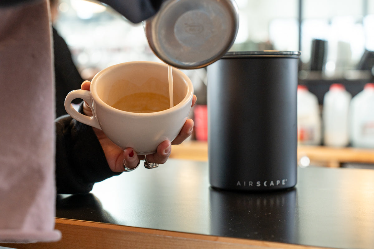 Airscape Coffee Bean Canister