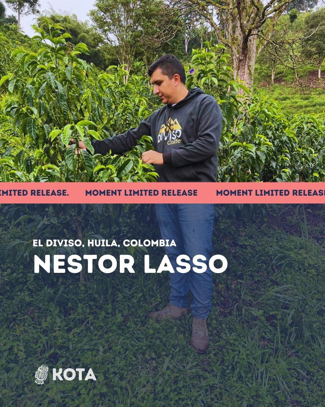 Nestor Lasso Natural Sidra - Colombia - KOTA Coffee