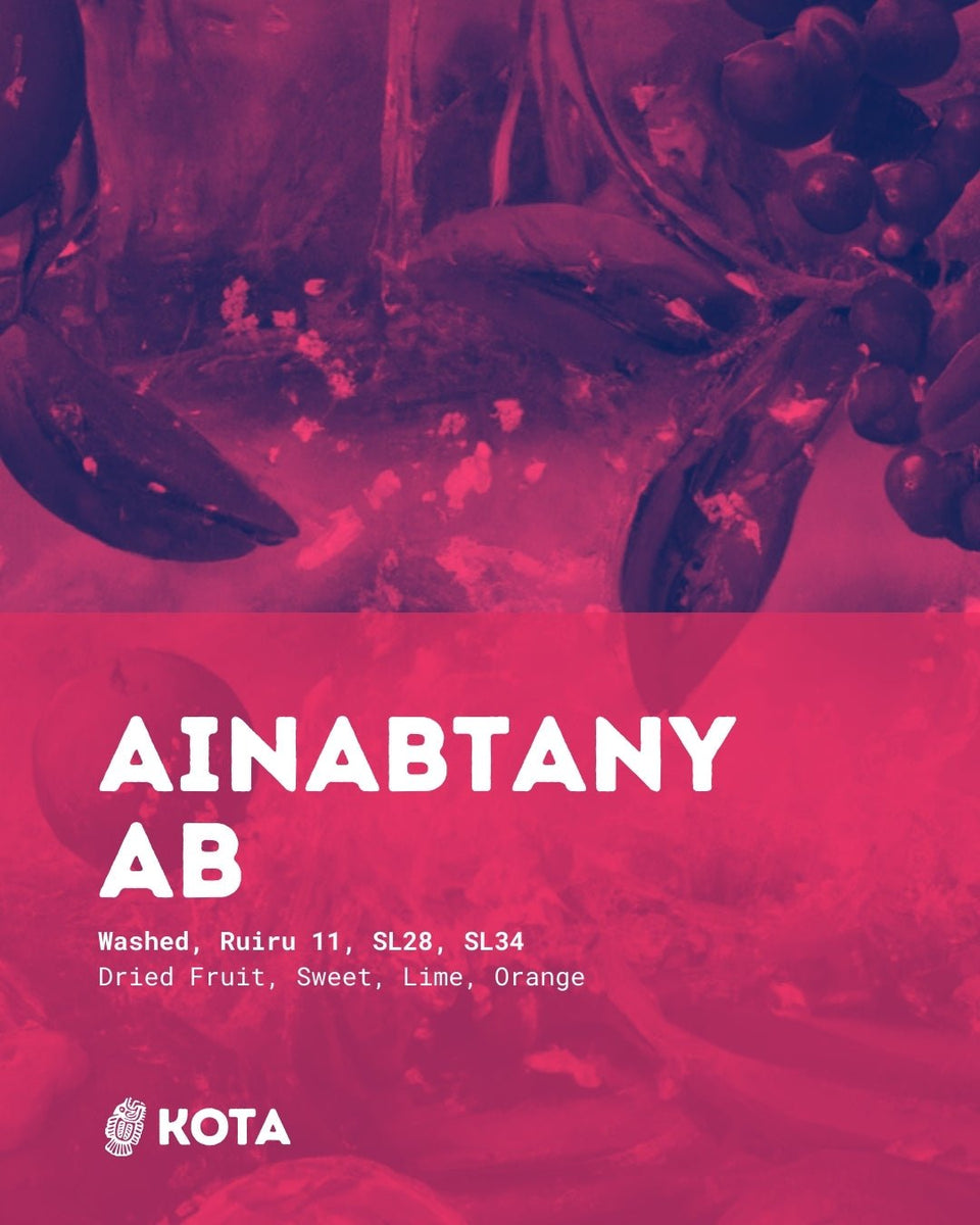 Ainabtany AB Speciality Kenyan Coffee, Freshly Roasted KOTA Coffee